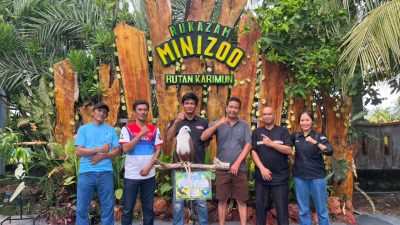 Rukazam Minizoo Turut Meriahkan KPK Dragbike Karimun Speed Fest 2026. Hadirkan Pameran Satwa dalam Sensasi Otomotif